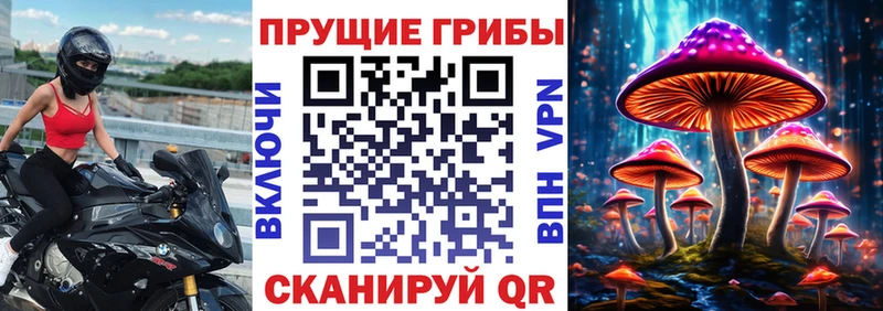 наркота  Гай  Галлюциногенные грибы MAGIC MUSHROOMS 